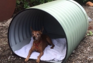 Barrel Dog Kennel