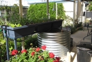 Galvanised Aquponics Tank