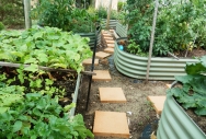 Raised Garden Beds - Pale Eucalypt