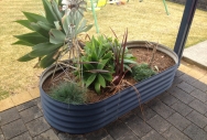 Oblong Raised Garden Planter