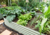 Raised-Garden-Beds-Perth