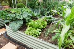 Raised-Garden-Beds-Perth